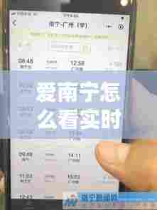 爱南宁怎么看实时电费,南宁怎么查电费