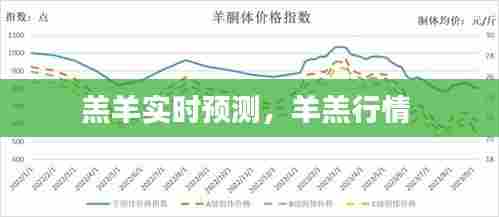 羔羊实时预测,羊羔行情