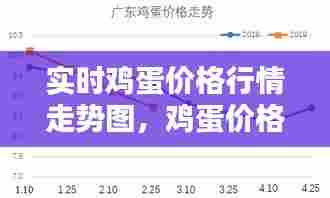 实时鸡蛋价格行情走势图,鸡蛋价格行情网