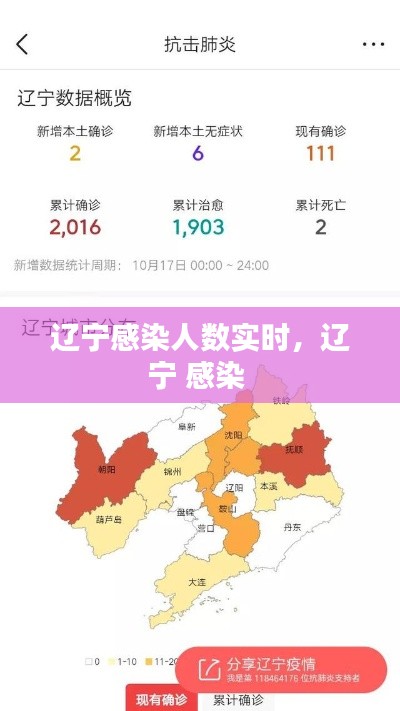 辽宁感染人数实时,辽宁 感染