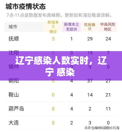 辽宁感染人数实时,辽宁 感染