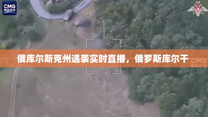 俄库尔斯克州遇袭实时直播,俄罗斯库尔干