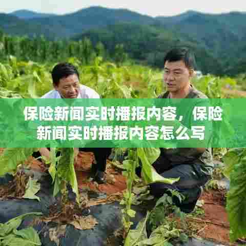 保险新闻实时播报内容,保险新闻实时播报内容怎么写