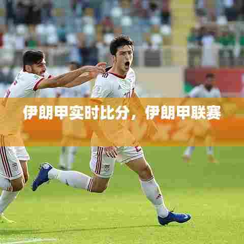 伊朗甲实时比分，伊朗甲联赛 
