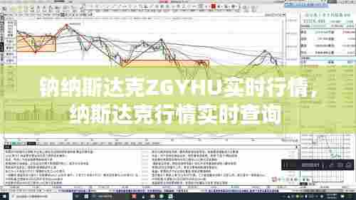 钠纳斯达克ZGYHU实时行情，纳斯达克行情实时查询 