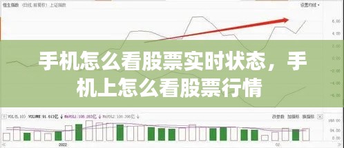 手机怎么看股票实时状态,手机上怎么看股票行情