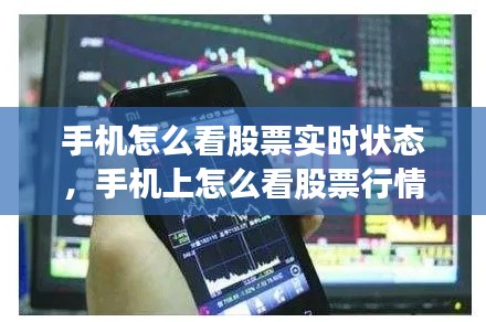 手机怎么看股票实时状态,手机上怎么看股票行情