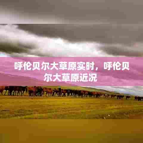 呼伦贝尔大草原实时，呼伦贝尔大草原近况 