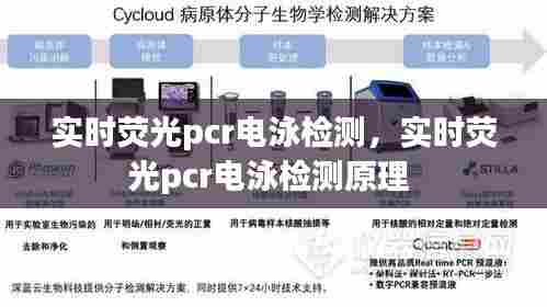 实时荧光pcr电泳检测，实时荧光pcr电泳检测原理 