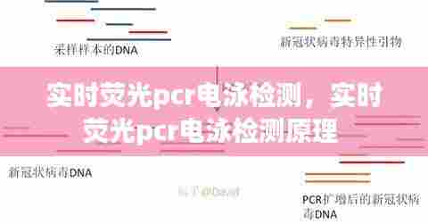 实时荧光pcr电泳检测,实时荧光pcr电泳检测原理