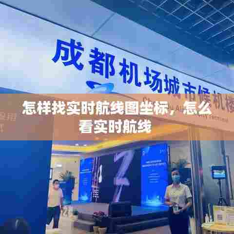 怎样找实时航线图坐标,怎么看实时航线