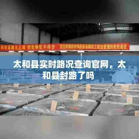 太和县实时路况查询官网，太和县封路了吗 