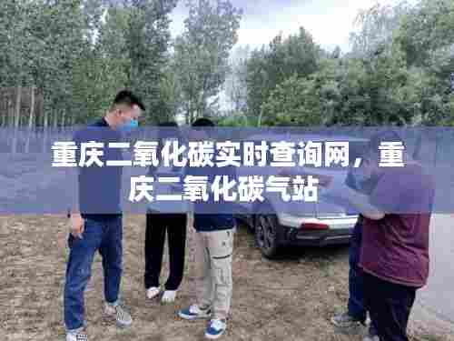 重庆二氧化碳实时查询网，重庆二氧化碳气站 