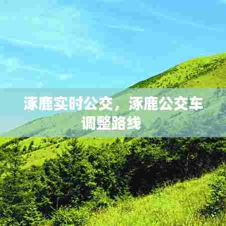 涿鹿实时公交,涿鹿公交车调整路线
