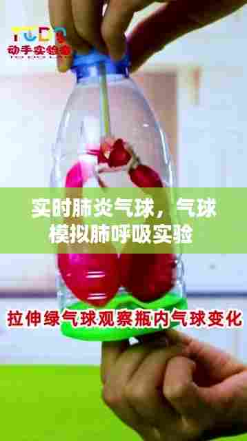 实时肺炎气球,气球模拟肺呼吸实验