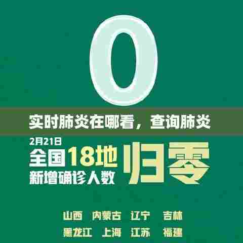 实时肺炎在哪看,查询肺炎