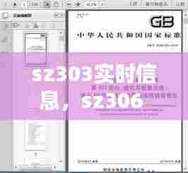 sz303实时信息，sz306 