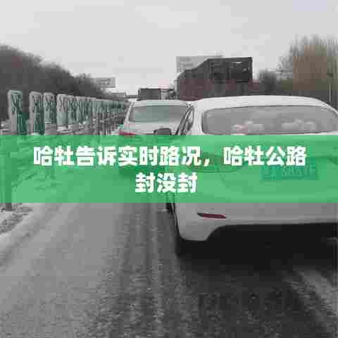 哈牡告诉实时路况,哈牡公路封没封