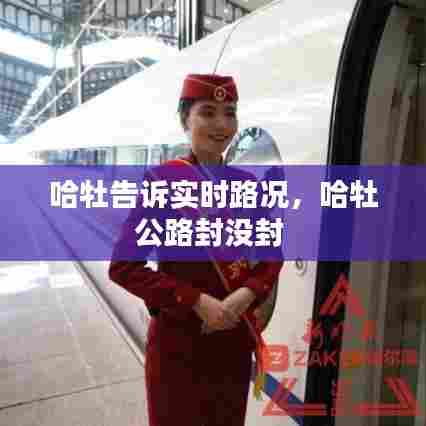 哈牡告诉实时路况,哈牡公路封没封