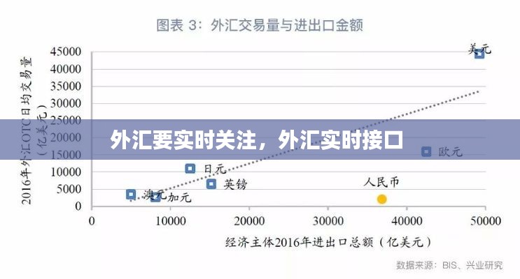 外汇要实时关注，外汇实时接口 