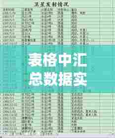 表格中汇总数据实时更新，汇总表格数据自动变化 