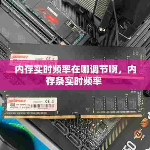 内存实时频率在哪调节啊，内存条实时频率 