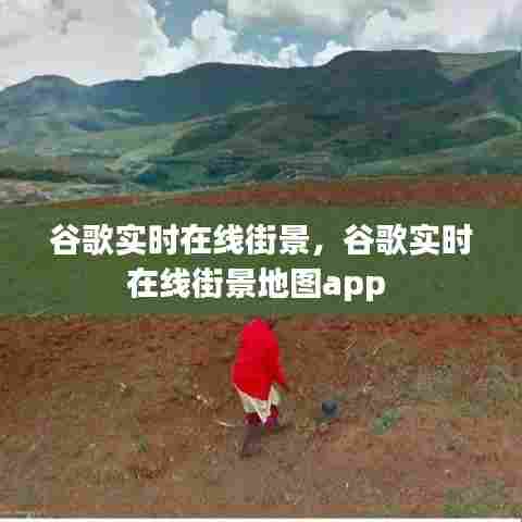 谷歌实时在线街景,谷歌实时在线街景地图app