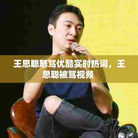 王思聪怒骂优酷实时热词,王思聪被骂视频