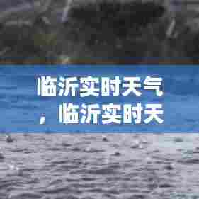 临沂实时天气,临沂实时天气24小时