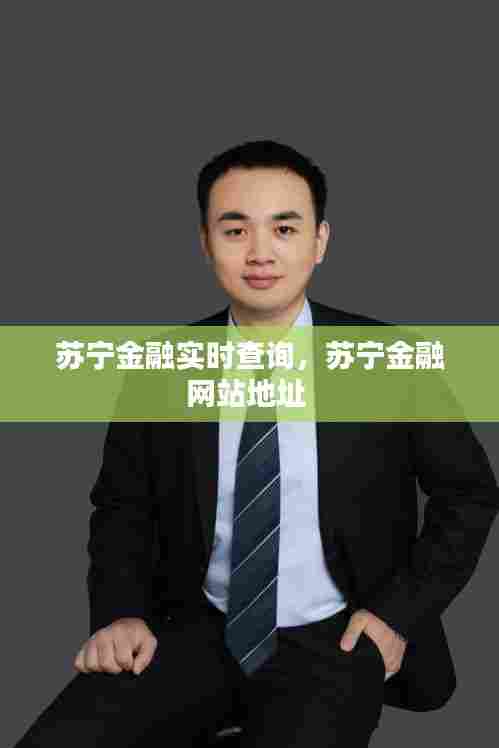 苏宁金融实时查询,苏宁金融网站地址