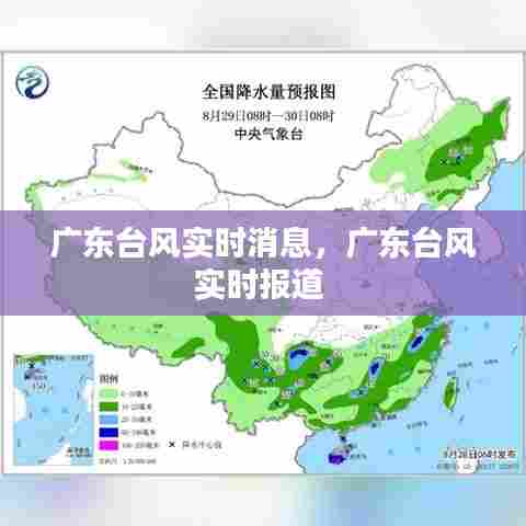 广东台风实时消息,广东台风实时报道
