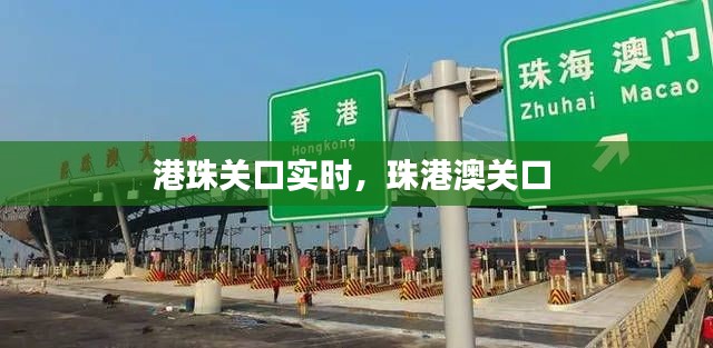 港珠关口实时,珠港澳关口