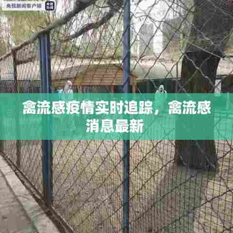 禽流感疫情实时追踪,禽流感消息最新