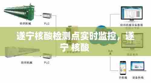 一花独放 第6页