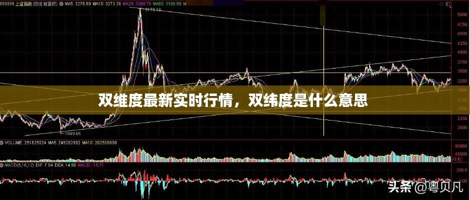 双维度最新实时行情，双纬度是什么意思 