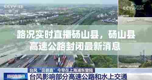 路况实时直播砀山县,砀山县高速公路封闭最新消息