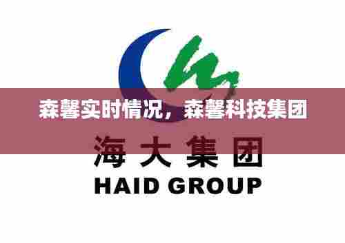 森馨实时情况,森馨科技集团