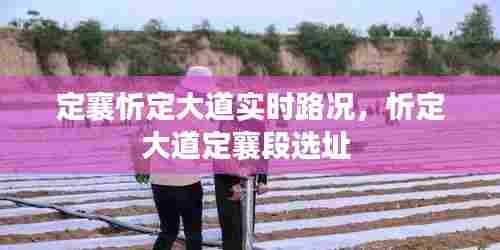 定襄忻定大道实时路况,忻定大道定襄段选址