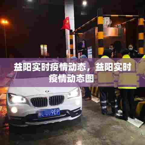 益阳实时疫情动态，益阳实时疫情动态图 