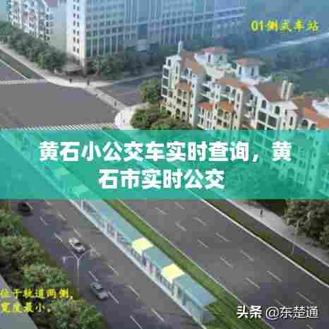 黄石小公交车实时查询,黄石市实时公交