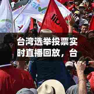 台湾选举投票实时直播回放,台湾选举现场视频完整版