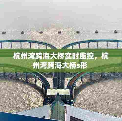 杭州湾跨海大桥实时监控,杭州湾跨海大桥s形