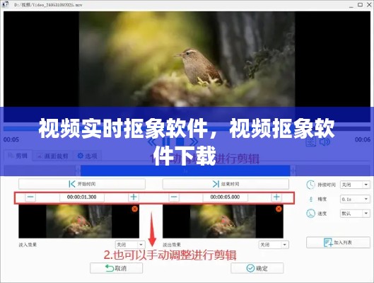 视频实时抠象软件,视频抠象软件下载