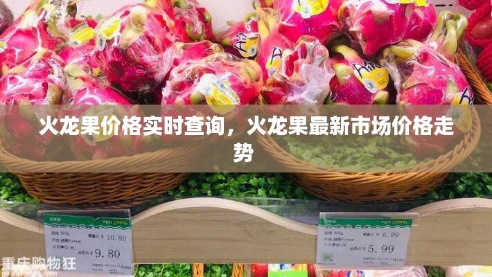 火龙果价格实时查询,火龙果最新市场价格走势