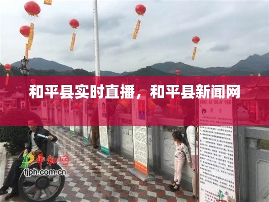 和平县实时直播，和平县新闻网 