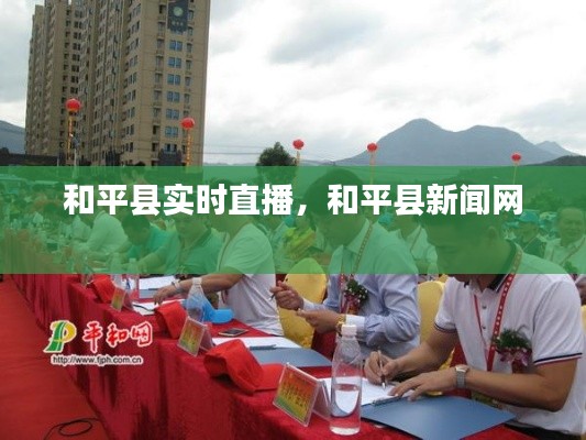 和平县实时直播,和平县新闻网