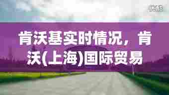 肯沃基实时情况,肯沃(上海)国际贸易有限公司