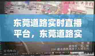 东莞道路实时直播平台，东莞道路实时直播平台有哪些 