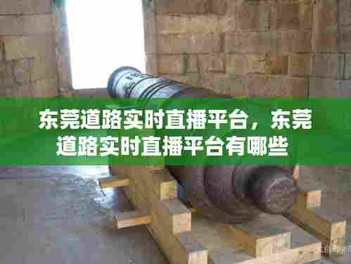 东莞道路实时直播平台,东莞道路实时直播平台有哪些