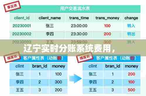 辽宁实时分账系统费用,